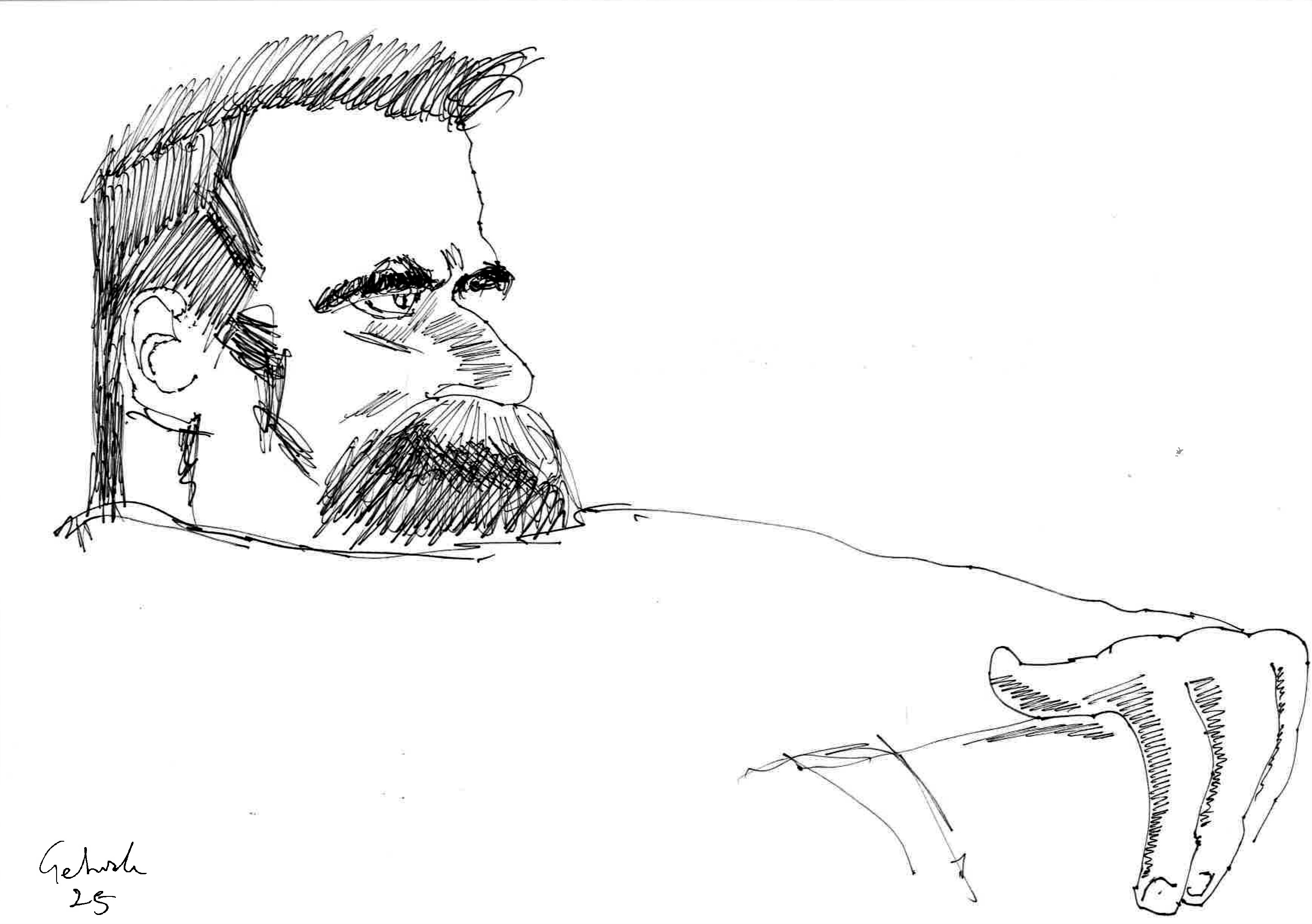 Nietzsche (T. Pericoli)